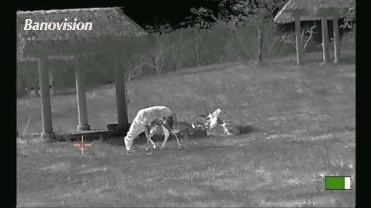 Deutschland Iwa Handheld Nachtsicht Outdoor Jagd Wärmebild Monokular aus China